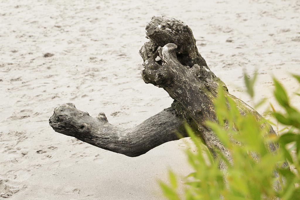 Interkulturelle Kommunikation